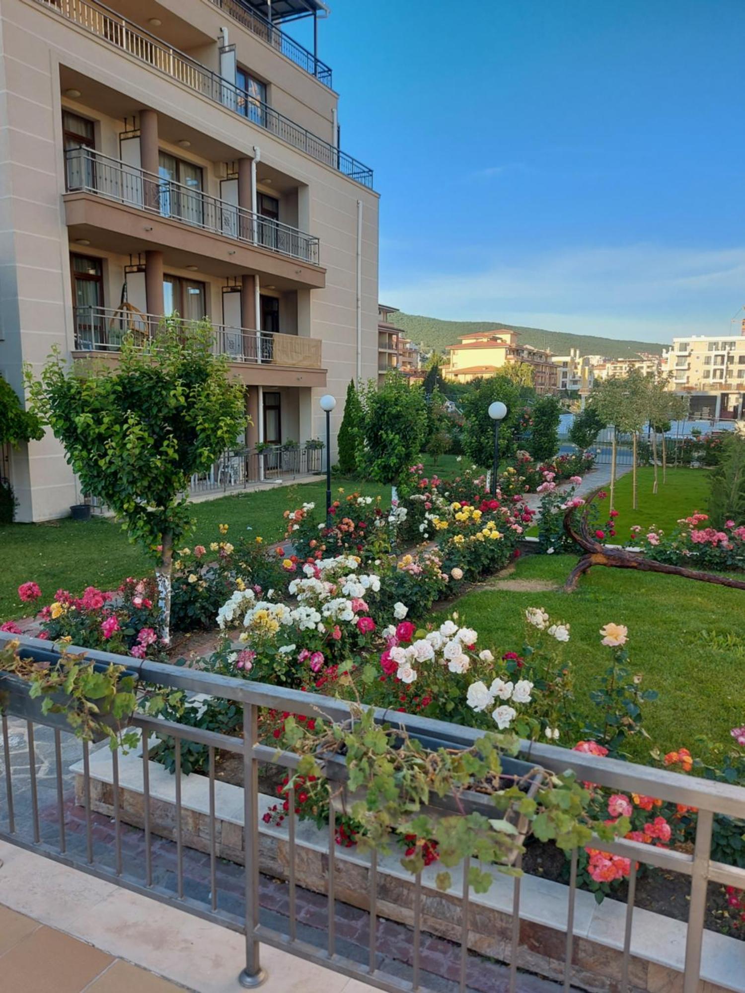 Charming Studio In Sorrento Sole Mare Sveti Vlas Exteriér fotografie